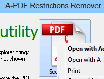 a-pdf restrictions remover crack key